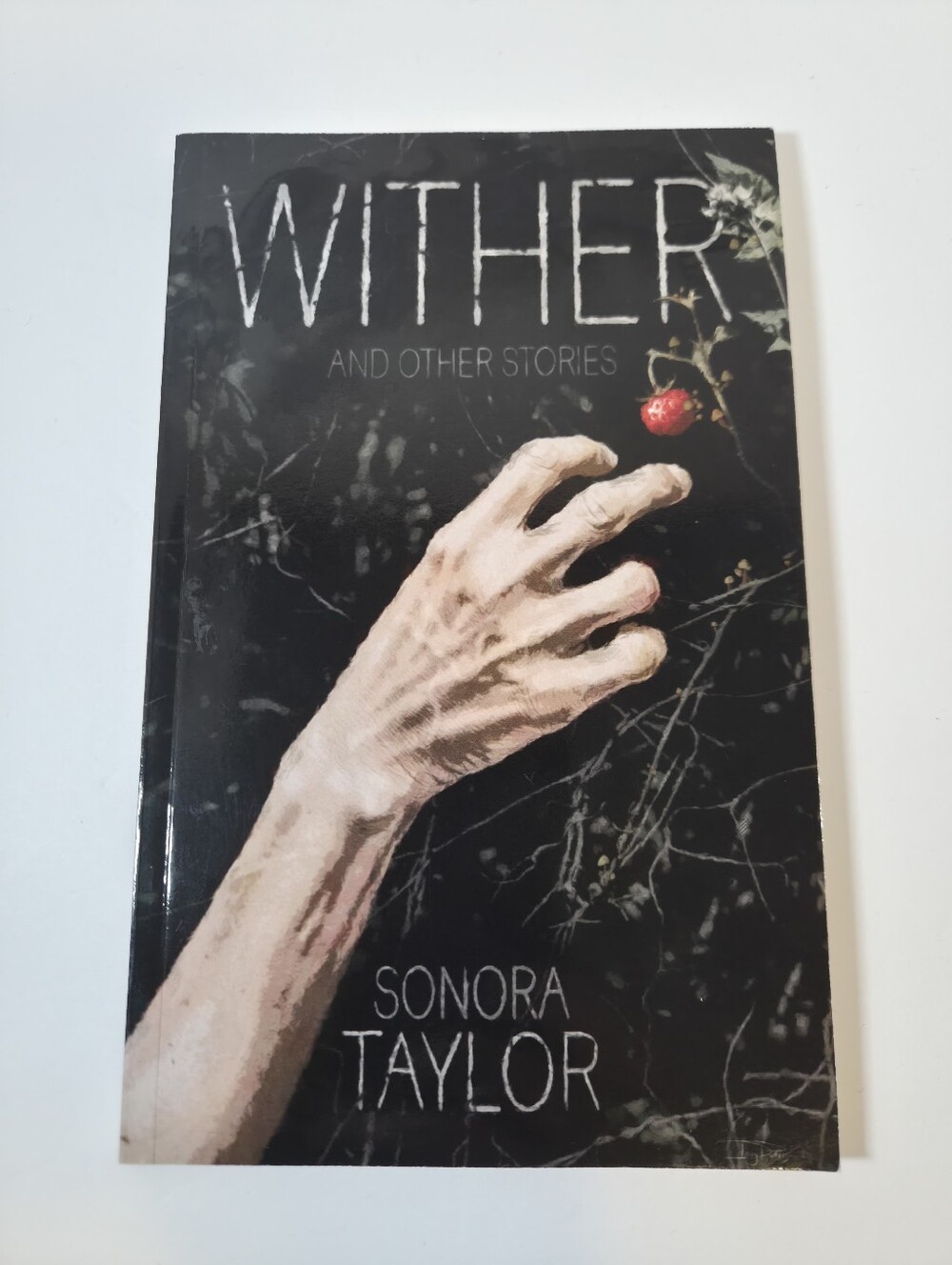 WITHER and Other Stories by Sonora Taylor Paperback